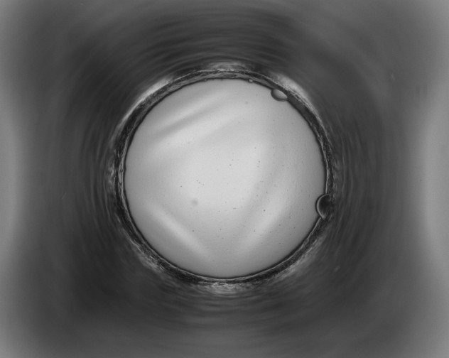 X0000086240827200704191819