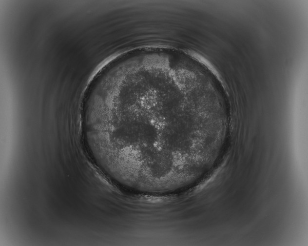 X0000086240829200704191819