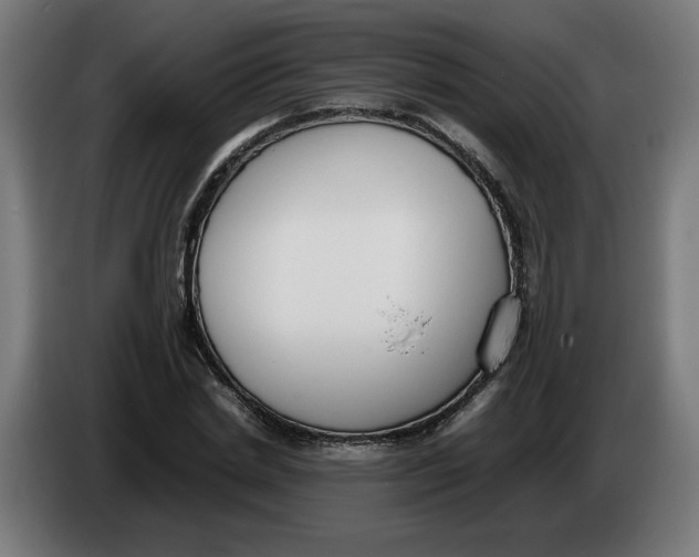 X0000086240830200704191819