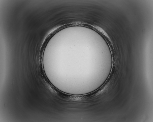 X0000086240831200704191819