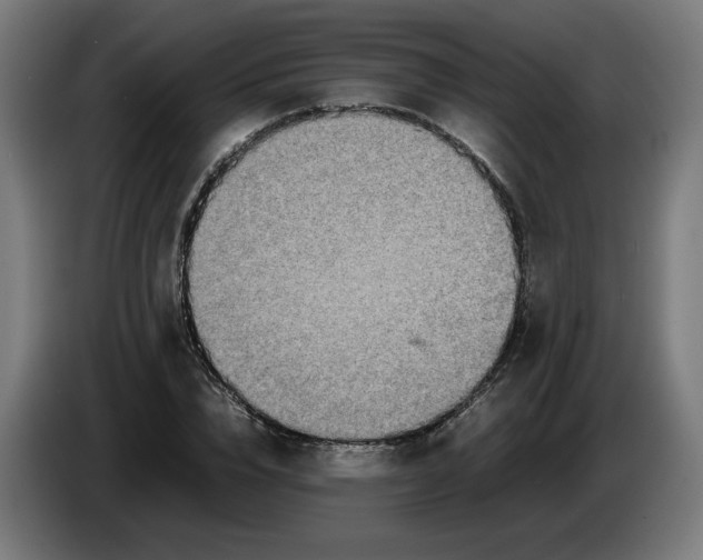 X0000086240832200704191819