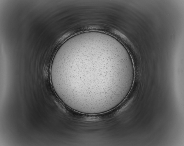 X0000086240833200704191819