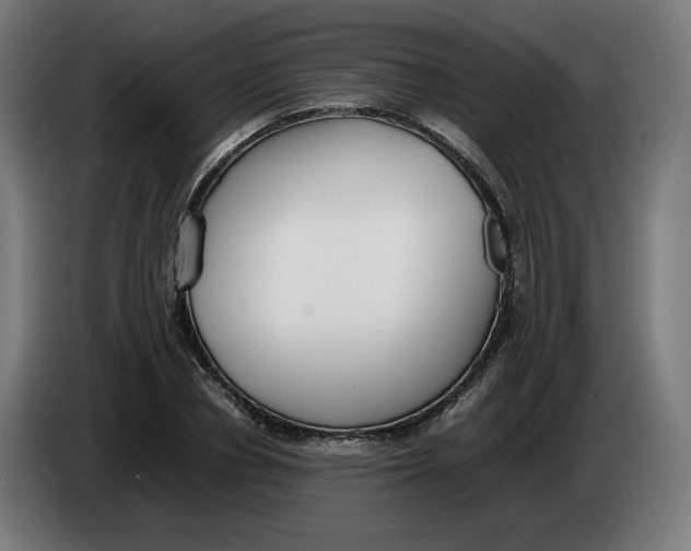 X0000086240834200704191819