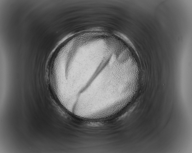 X0000086240835200704191819