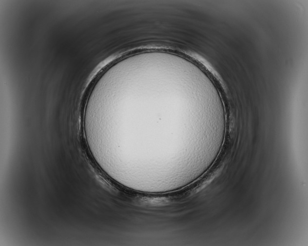 X0000086240837200704191819