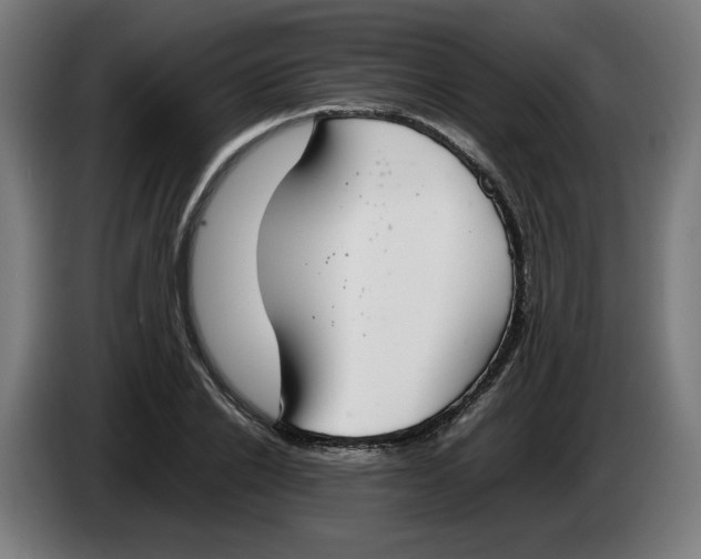 X0000086240838200704191819