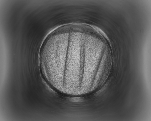 X0000086240839200704191819