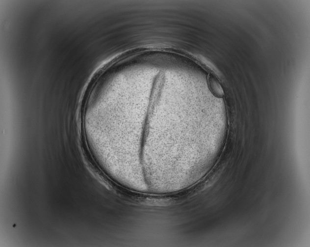 X0000086240840200704191819