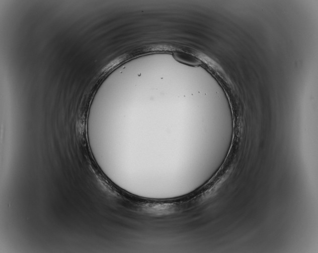 X0000086240841200704191819