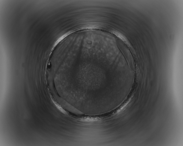 X0000086240842200704191819