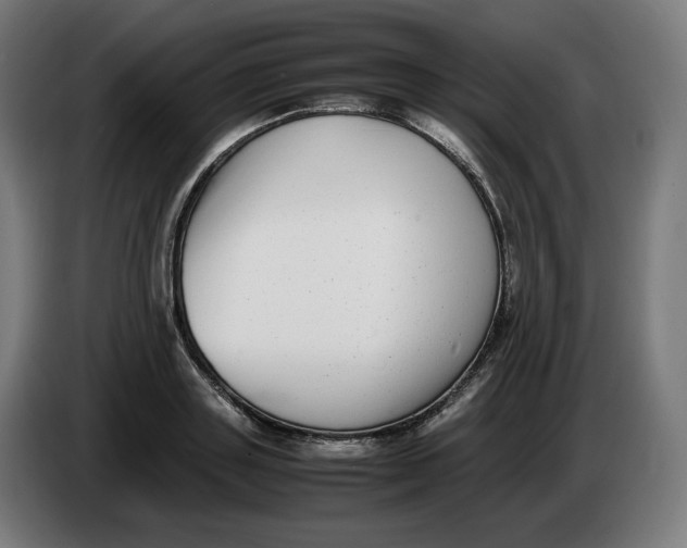 X0000086240843200704191819