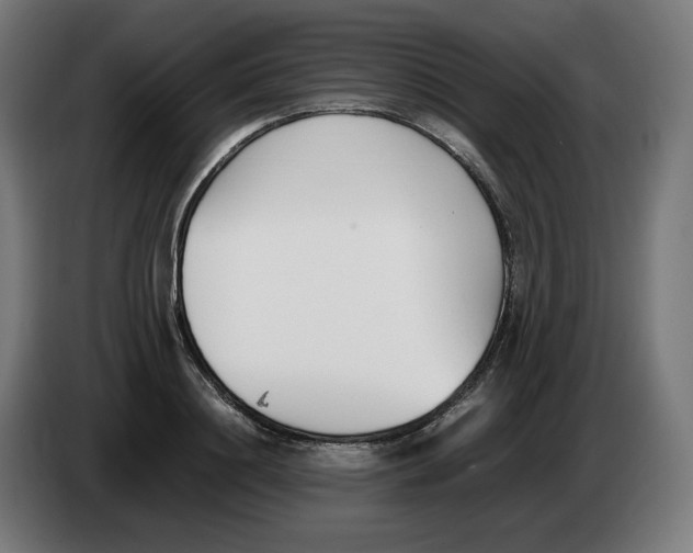 X0000086240844200704191819