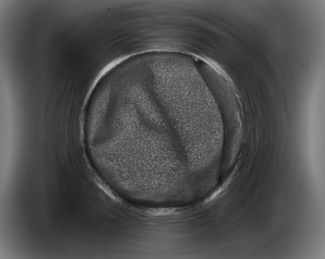 X0000086240846200704191819