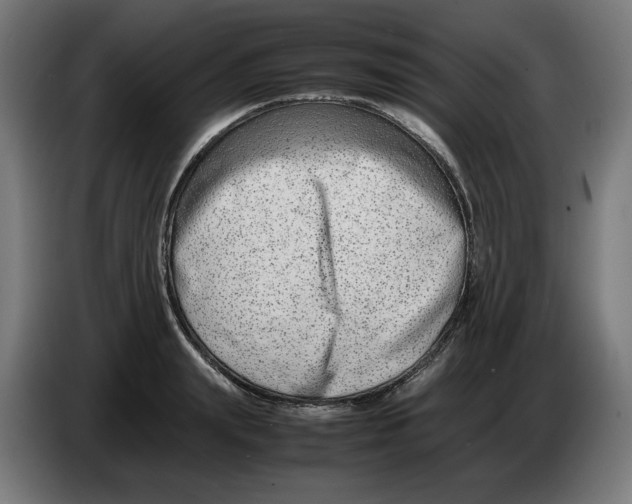 X0000086240847200704191819