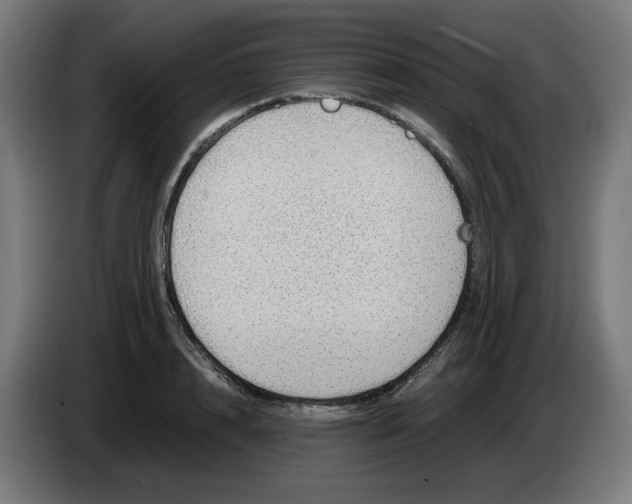 X0000086240848200704191819