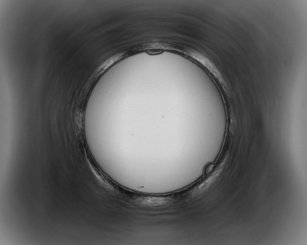 X0000086240849200704191819