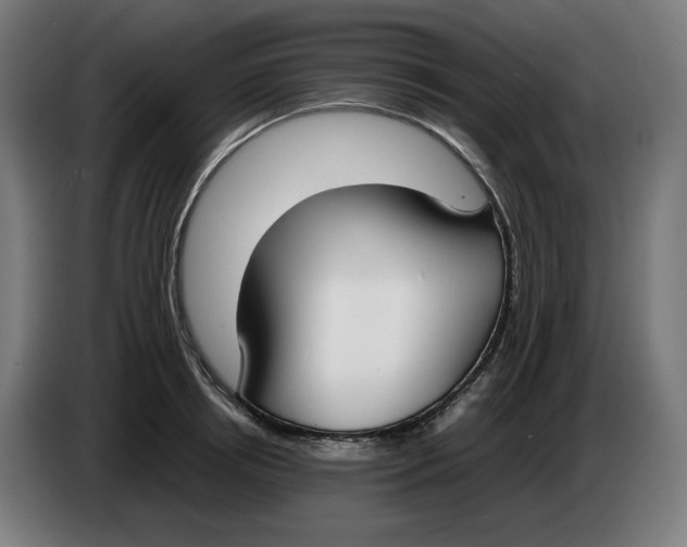 X0000086240850200704191819