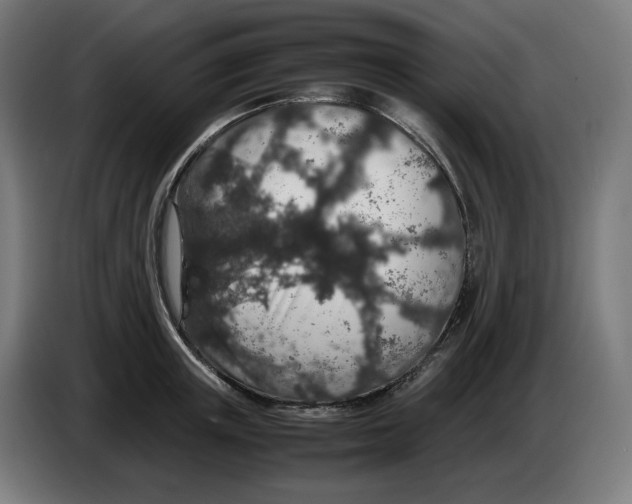 X0000086240851200704191819