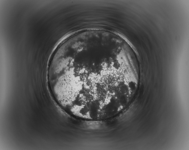 X0000086240853200704191819