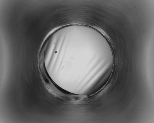 X0000086240854200704191819