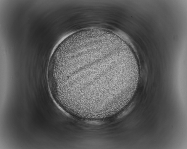 X0000086240855200704191819