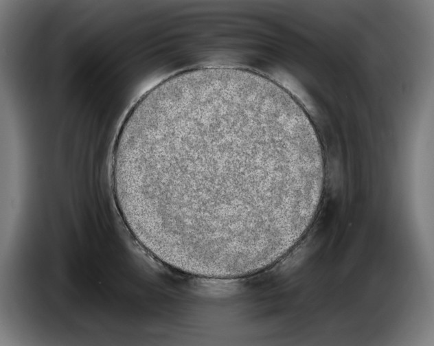 X0000086240856200704191819