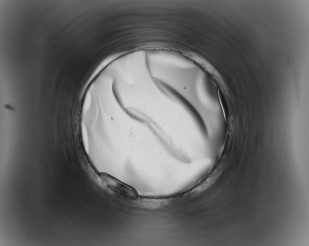 X0000086240860200704191819