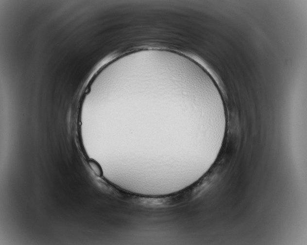 X0000086240861200704191819