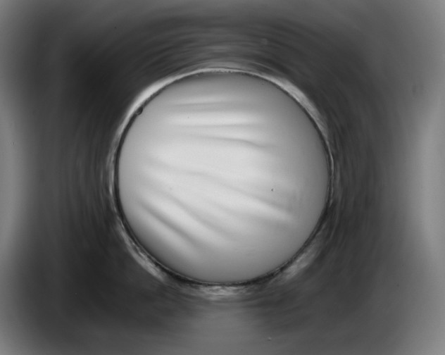 X0000086240862200704191819