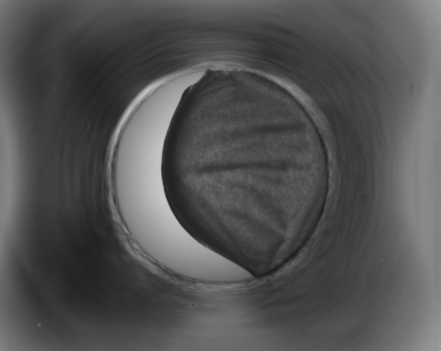 X0000086240864200704191819