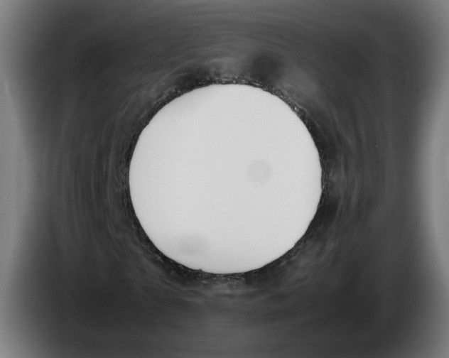 X0000086240865200704191819