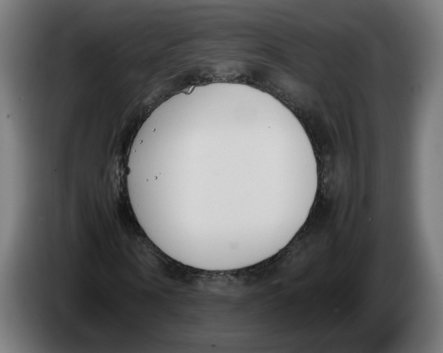 X0000086240866200704191819