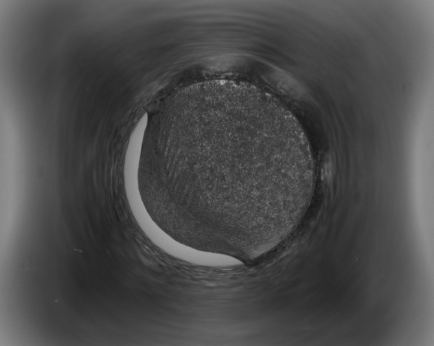 X0000086240868200704191819
