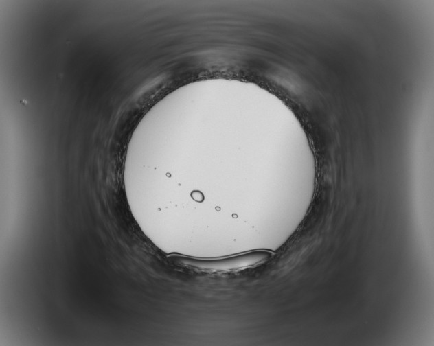 X0000086240869200704191819