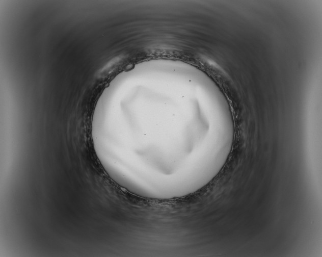 X0000086240870200704191819