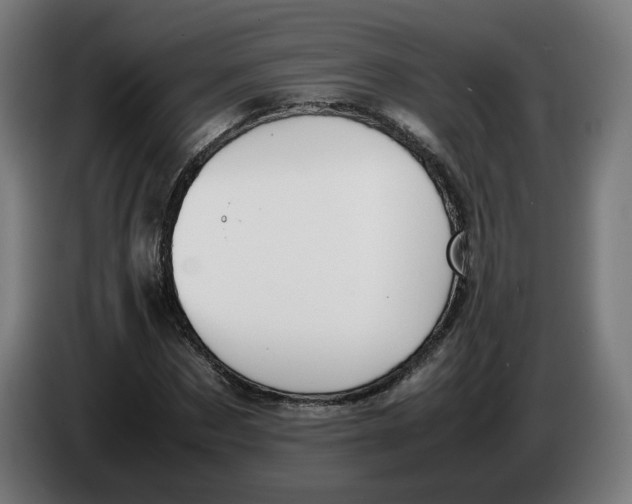 X0000086240873200704191819