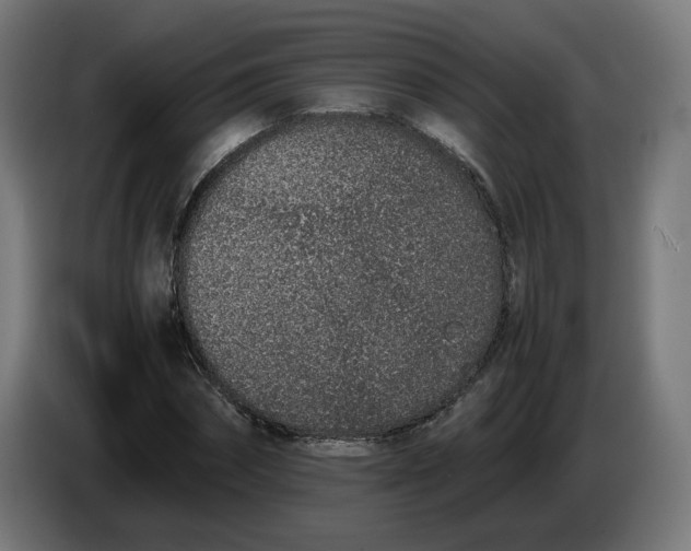 X0000086240874200704191819