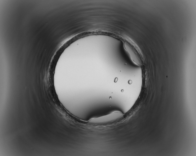 X0000086240876200704191819