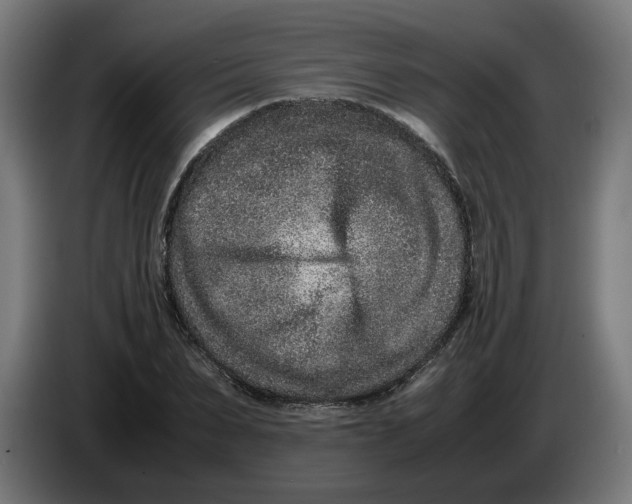 X0000086240879200704191819