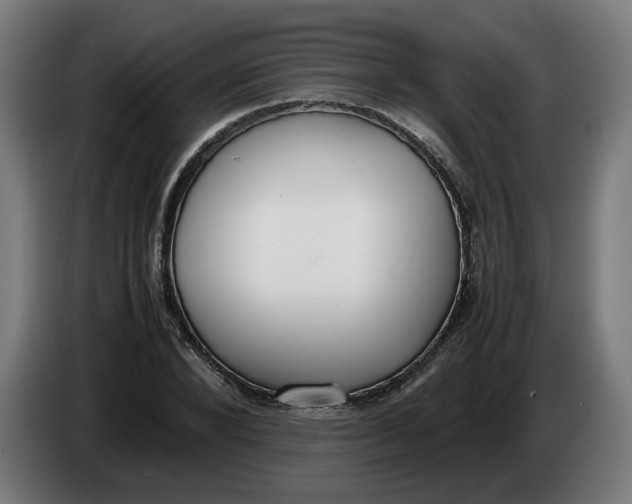 X0000086240880200704191819