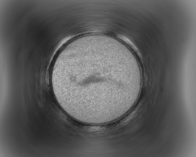 X0000086240883200704191819