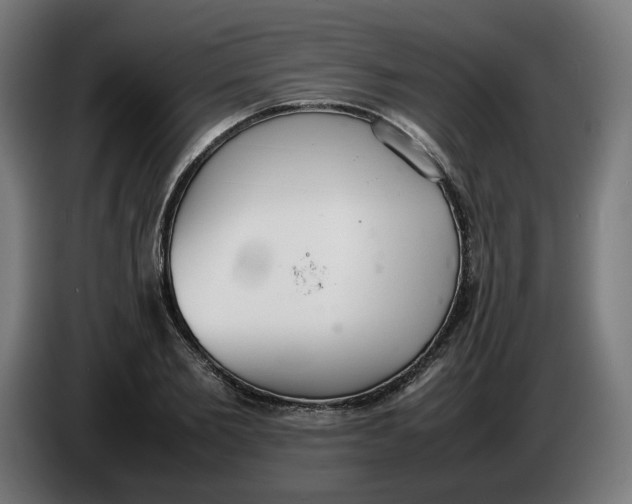 X0000086240885200704191819