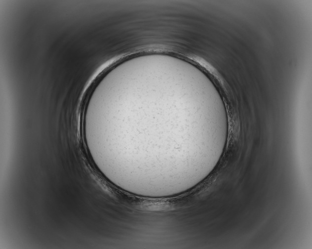 X0000086240886200704191819