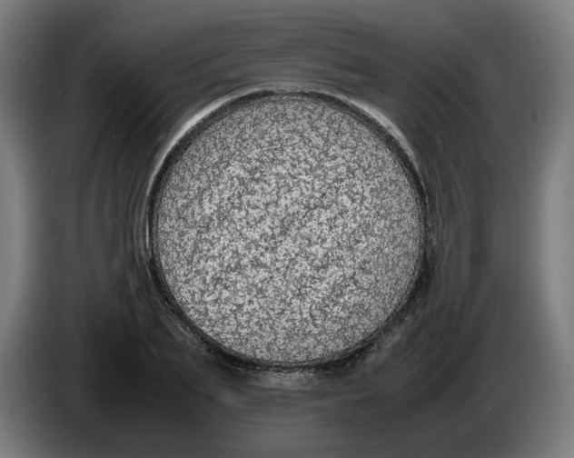 X0000086240887200704191818