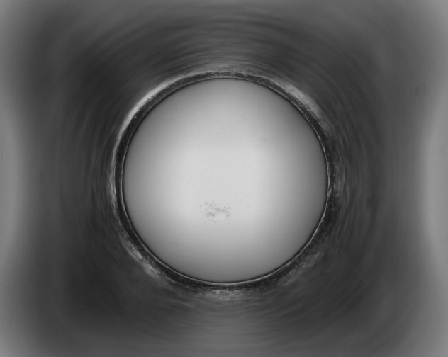 X0000086240888200704191818
