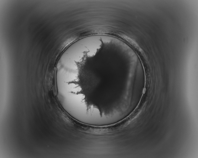 X0000086240889200704191818