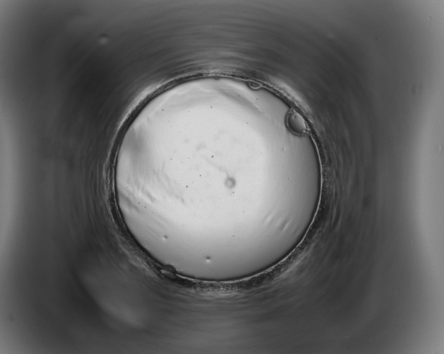 X0000086240891200704191818