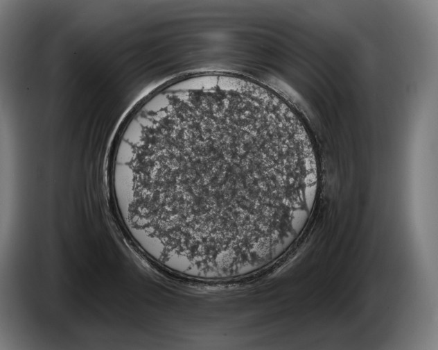 X0000086240892200704191818