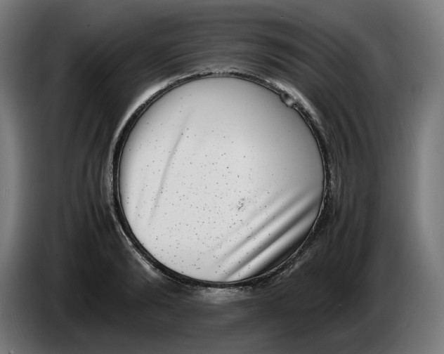 X0000086240894200704191818