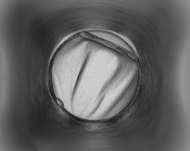 X0000086240895200704191818